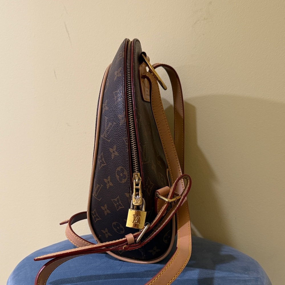 Brown Monogram Backpack Luxurious style Backpack - image 3